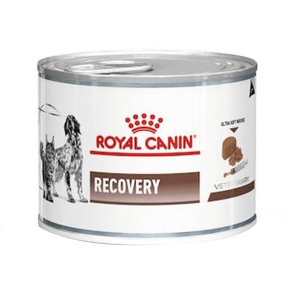 RECOVERY ULTRA SOFT MOUSSE